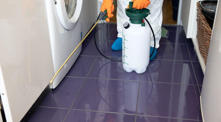 Why choose Chemical Treatment Templeton for chemical treatment in Templeton